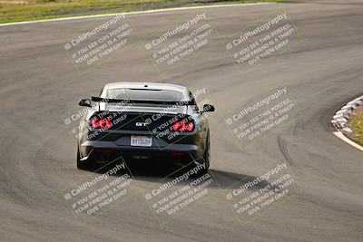 media/Feb-25-2024-Speed Ventures (Sun) [[b9a2a97a4d]]/Mustang Drivers Club/Session 1 (Turns 4 and 5)/